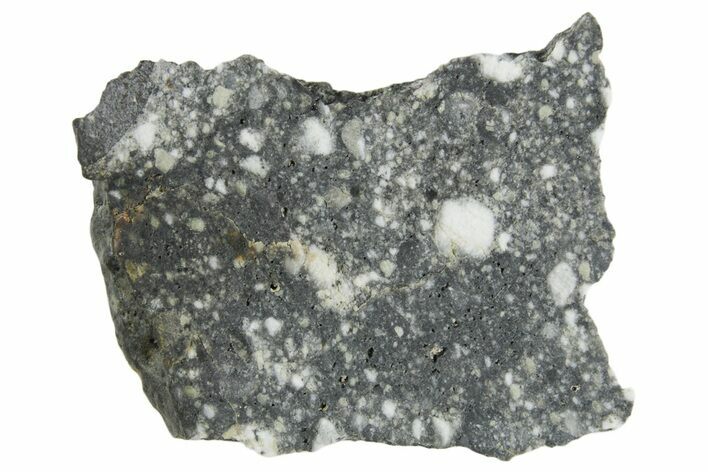 Polished Lunar Meteorite ( g) Slice - Aridal #360162